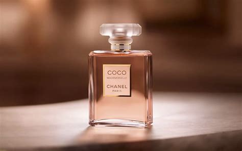 popular coco chanel perfume|perfume chanel paling best.